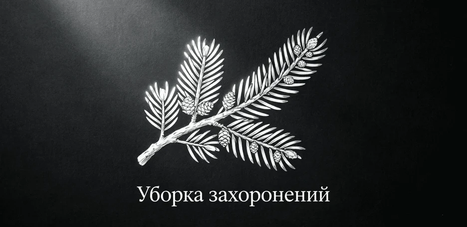 image-0-0